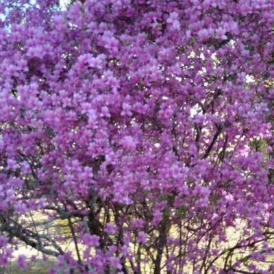 kotarou0w0's profile picture. 関西に住んでます
三十代ですよろしくお願いします
男です