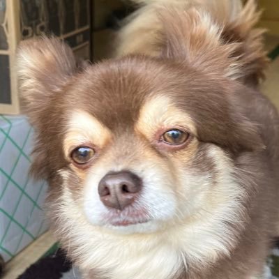 まめさんのプロフィール画像