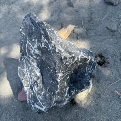 figoleolee's profile picture. 