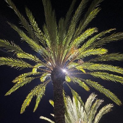 IHeartLife's profile picture. Life is good!

DYOR