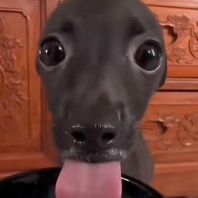 boogi_bbaeyo's profile picture. 너무 나대진 마😇