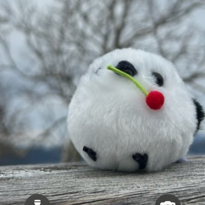 PPH9EzWrQOe5pW's profile picture. 大学に合格するぞ！