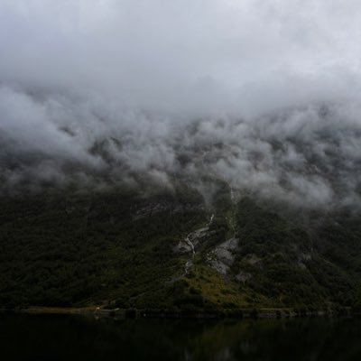 Fireknite9's profile picture. 