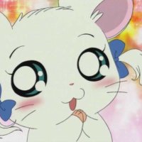 쌈... (@ssam_yangpa) 's Twitter Profile Photo