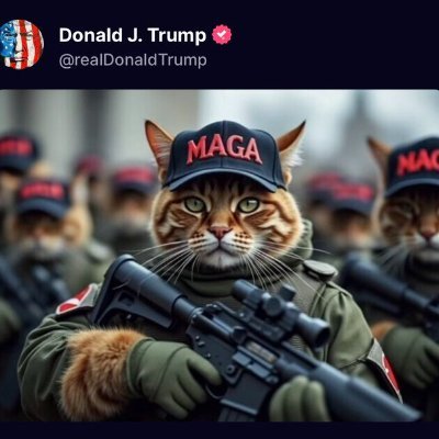 Pureblood Trump supporter. The election was rigged no way that potato got 81 million votes. Right to bear arms shall not be infringed. NRA member