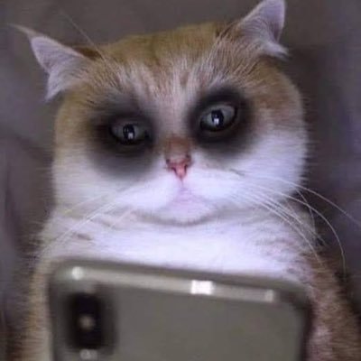 stpwpropro's profile picture. 