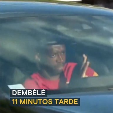 rskro99's profile picture. @DVMCORP   #DVMONTOP