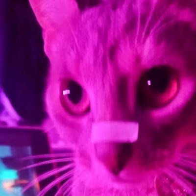 lunixizm0's profile picture.