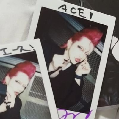 honmei: wajow ♡ any pronouns • 🏳️🌈 | +20 | ♪ • passionate sea otter enthusiast for a decade ギャロ LAY ABOUT WORLD joppin:cal enjoyer 🩷 ⊰ wlw 🇫🇷🇩🇿-FR/ENG