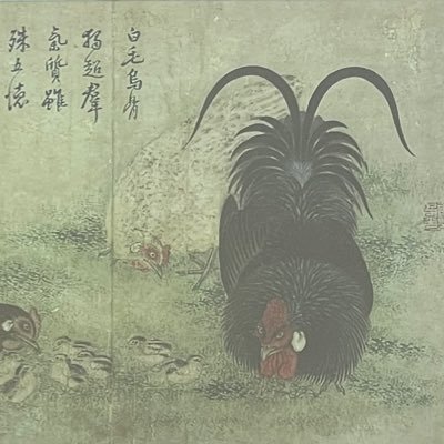 Nyeonki Shin Profile