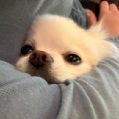 otonanin_aritai's profile picture. enfjらしい