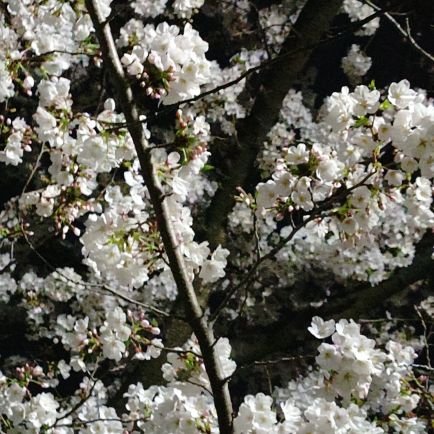 y1973529693's profile picture. 