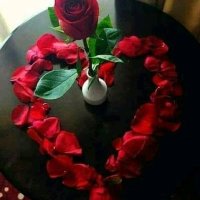 Lekasing Kasil (@lkasil40932) 's Twitter Profile