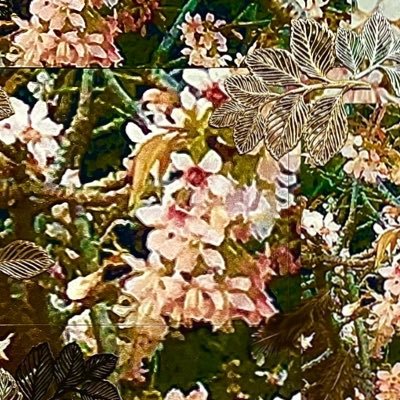 su_mf1621's profile picture. チワワとセキセイさん🥰 TAIJI💕 只今 沈没中