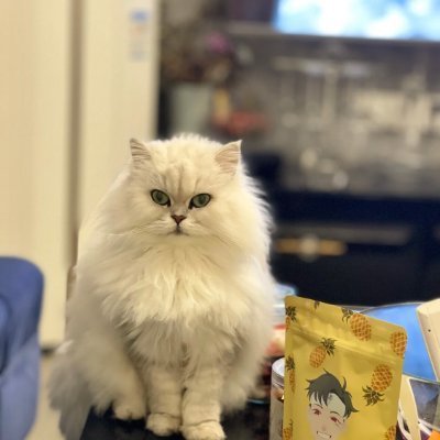 sgmxj22378887's profile picture. Love what you do, and the clock forgets to tick while tiredness forgets to linger.