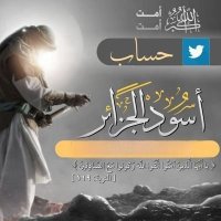 أُسود الجزائر (@osdaljazayir313) 's Twitter Profile