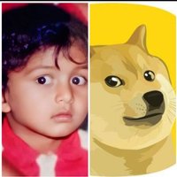 DOGE BOY | Solana Chain 🐣🐶 (@dogeboy_sol) 's Twitter Profile