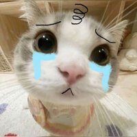 TTluvyoungungi🐈🐈 (@q_puup_) 's Twitter Profile