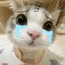 TTluvyoungungi🐈🐈 (@q_puup_) Twitter profile photo TTluvyoungungi🐈🐈 (@q_puup_) Twitter profile photo