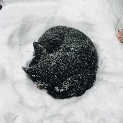 101build's profile picture. born to fish but forced to work..... Go Hawks! pro nouns Papa/Dad 🇨🇦