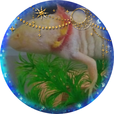 washiko_35's profile picture. 成人済20⇧主腐。小五息子（9月生まれ）あり。旦那の愚痴と息子が主な日常垢。たまにオタク趣味も。魔道祖師（忘羨）天官賜福（花憐）さはん（冰秋，冰九）
チキップダンサーズ（🐸先生）はいいぞ！
アイコンは我が家のペット、ウーパールーパーの『うるちゃん』