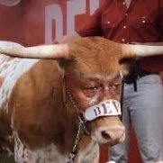 gf1064's profile picture. 