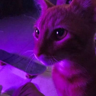 Richrd76124666's profile picture. The one who quests📈 and make contents / I love memes and alphas🔥..part time degen