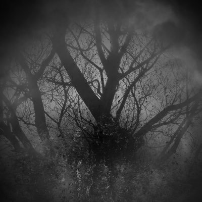 instrumental, dark rock music. find out more at https://t.co/MBkUNJoMmx