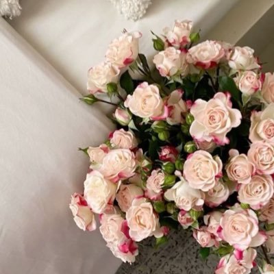 re_18no's profile picture. ما دامَ لي خالِقٌ باللُّطفِ يَغمُرُني فما الّذي بعد لُطفِ اللهِ أخشاهُ 🌧️| غدا الحلم واقعًا وها أنا طالبة صيدلة 🌟| PharmD student 🩷