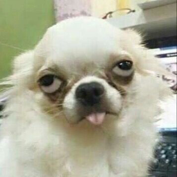 ws_sat50560's profile picture. 