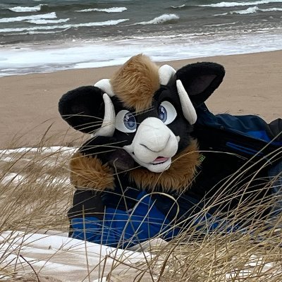 flavius 🐑さんのプロフィール画像