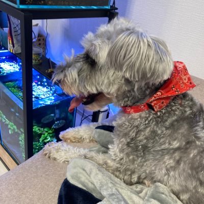 クランクさんのプロフィール画像