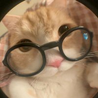 cips semigap di UNS (@sheefstudy) 's Twitter Profile
