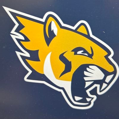 Activities Director Cristo Rey Jesuit High School. All tweets are my own opinions.