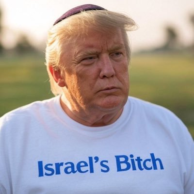 Former Cuckservative who actually voted for Trump in 2016. Anti Zionist - National Socialist. ꖦ ✙ there is hope for everyone to notice.