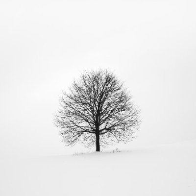 KungLeckington's profile picture. 打开新世界