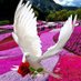 Ali M (@alim365562) Twitter profile photo Ali M (@alim365562) Twitter profile photo