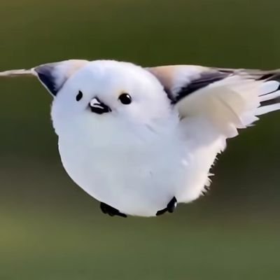 ホタル👾さんのプロフィール画像