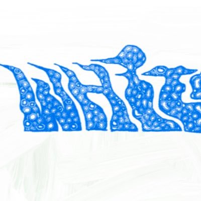 ホームページ→https://t.co/KeNgsCA69r Mail→whitesurf.band@gmail.com