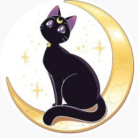 Luna (@silentlunacris) 's Twitter Profile Photo Luna (@silentlunacris) 's Twitter Profile Photo