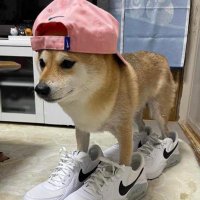 Ufuh (@ufuh2004) 's Twitter Profile Photo Ufuh (@ufuh2004) 's Twitter Profile Photo