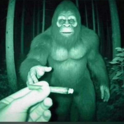 EElehin's profile picture. n0thinq1ast4ever 💔
mechanical engineer🇯🇵
Just a dude trying to live an honest life🤢🔞