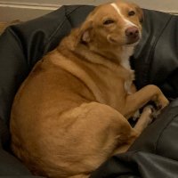 HyperWalker (@fromcapao) 's Twitter Profile