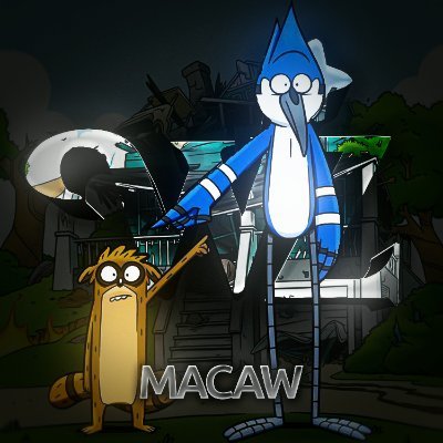 wiZ Macaw ๐ช Profile