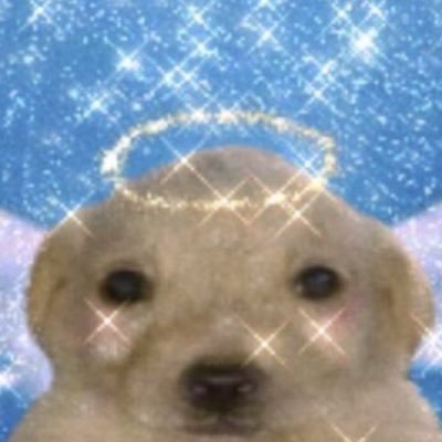 wOo0ak3vn's profile picture. 미남미녀콜렉터