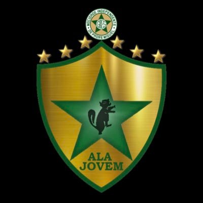 Somos a Juventude Independente! O futuro brilha em verde e branco⭐️💚🤍