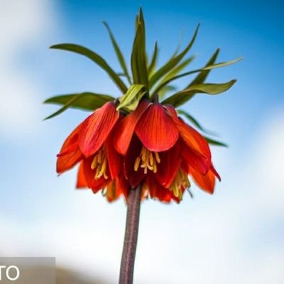 BemoBerze's profile picture. 