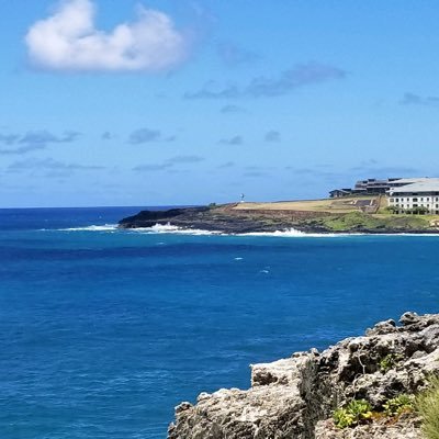 Susan6181922623's profile picture. 