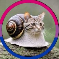 quri (@quriii__) 's Twitter Profile