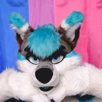 technorobotfox (@technorobotfox) 's Twitter Profile Photo technorobotfox (@technorobotfox) 's Twitter Profile Photo